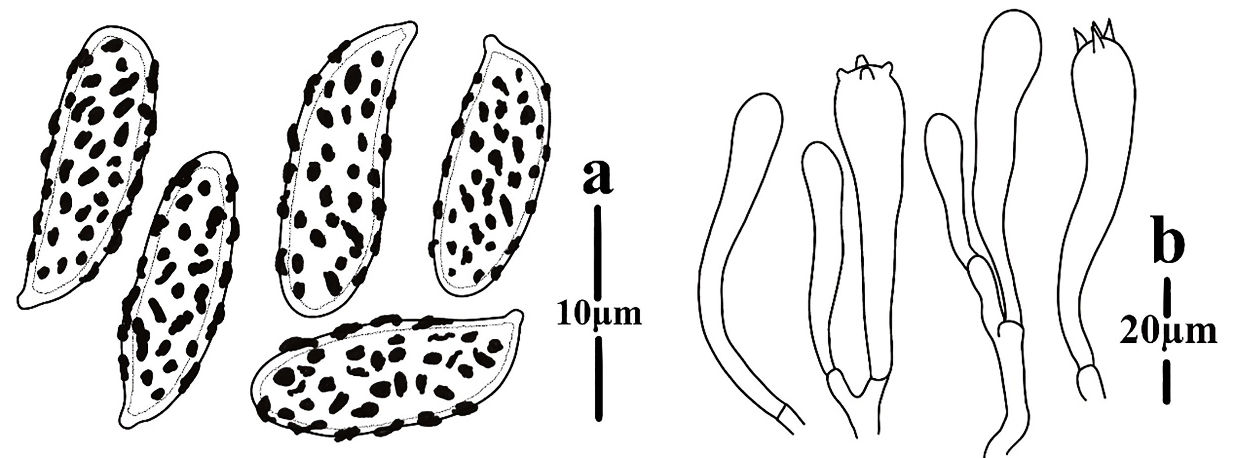Figure 98